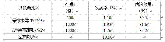 Trichoderma atroviride preparation for preventing and controlling vegetable fungal diseases and preparation method of trichoderma atroviride preparation thereof