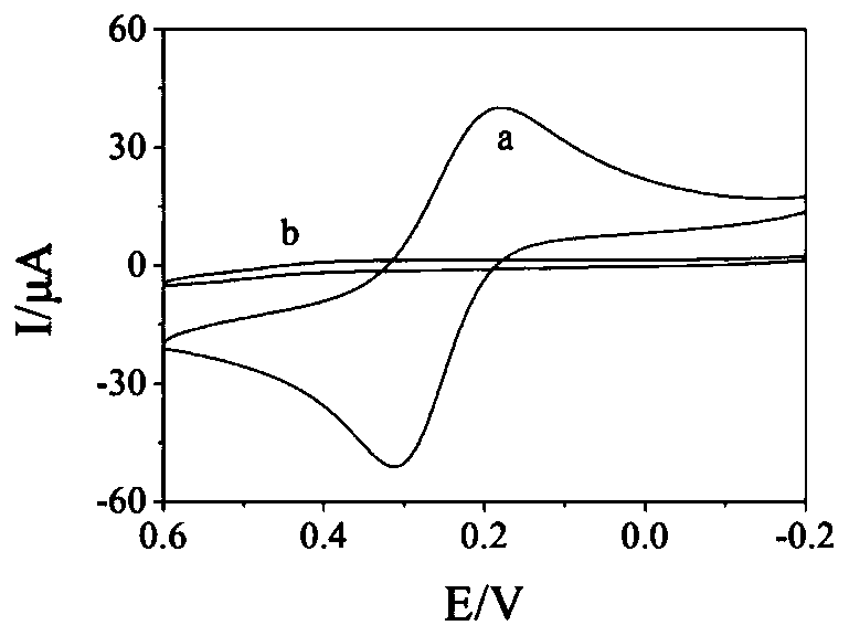 Detection method of L-arginine and sensor