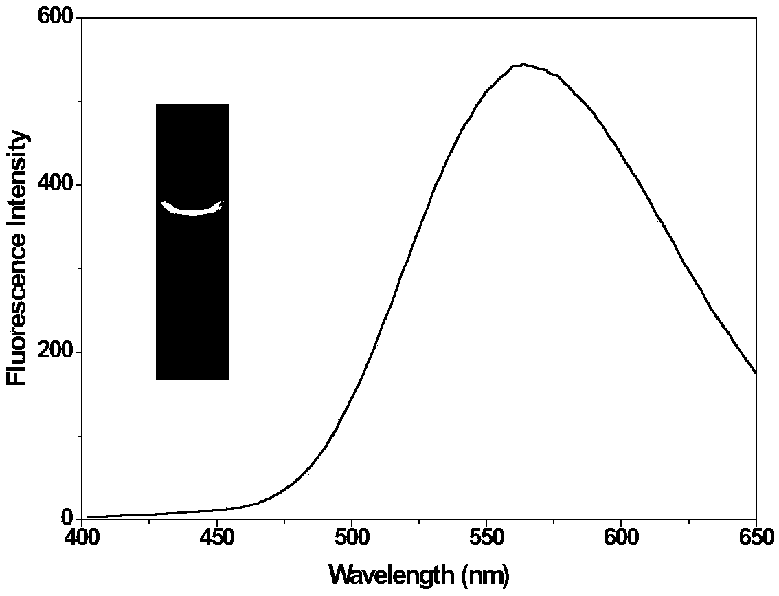 Lysosome targeted fluorescent dye based on nitrogen heterocyclic structure as well as preparation method and application of lysosome targeted fluorescent dye