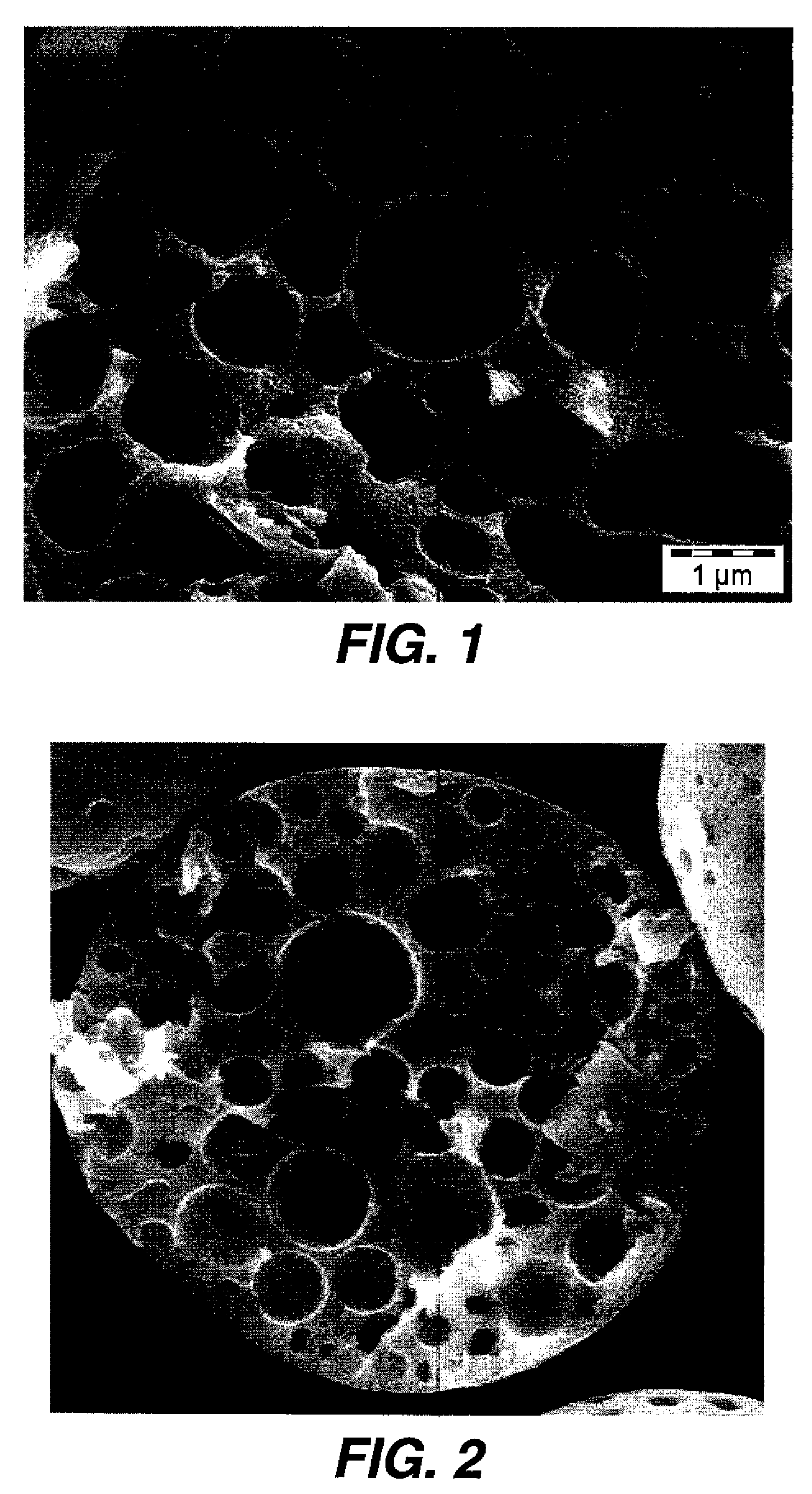 Toner porous particles containing hydrocolloids