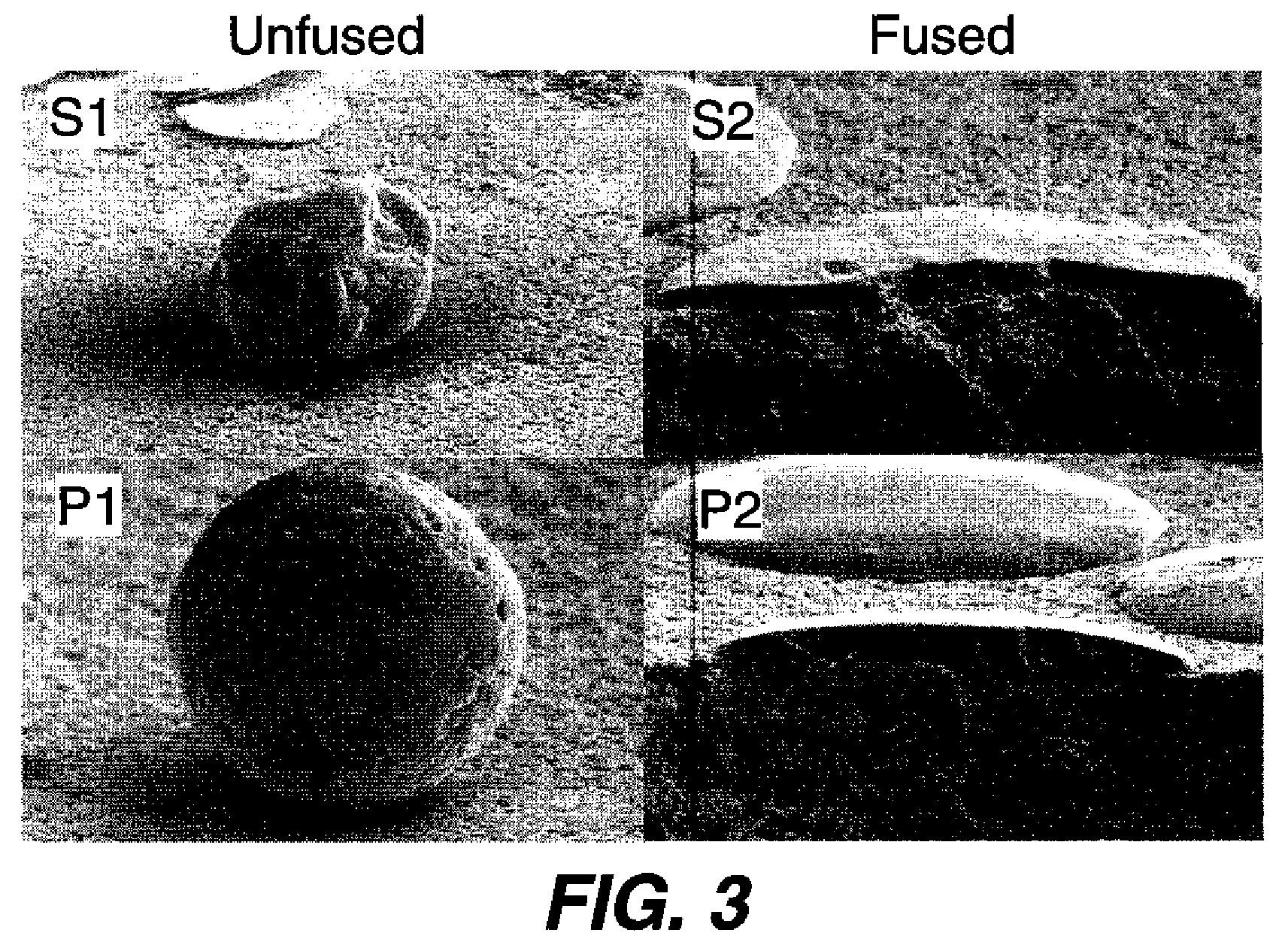 Toner porous particles containing hydrocolloids