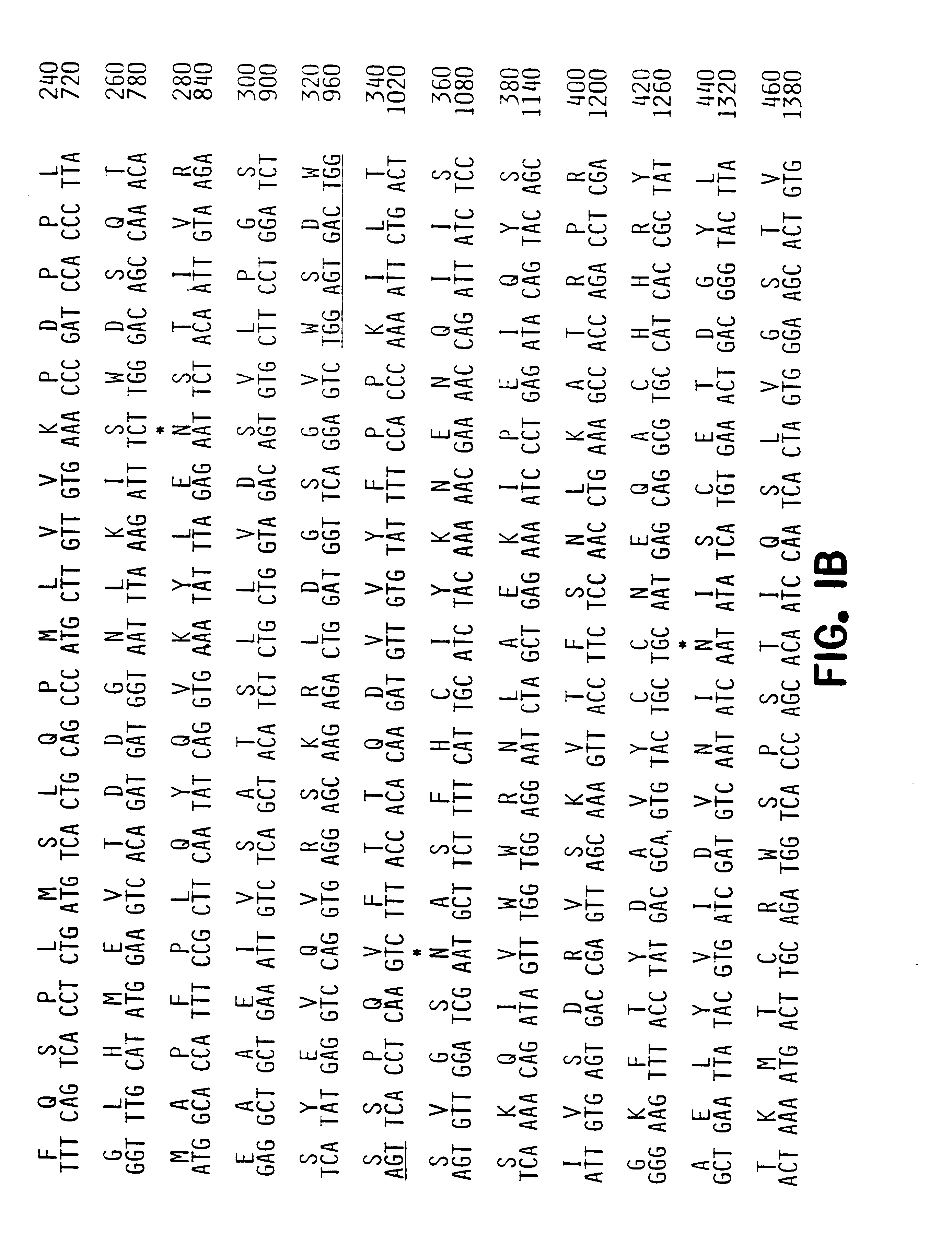 Methods of identifying compounds that modulate body weight using the OB receptor