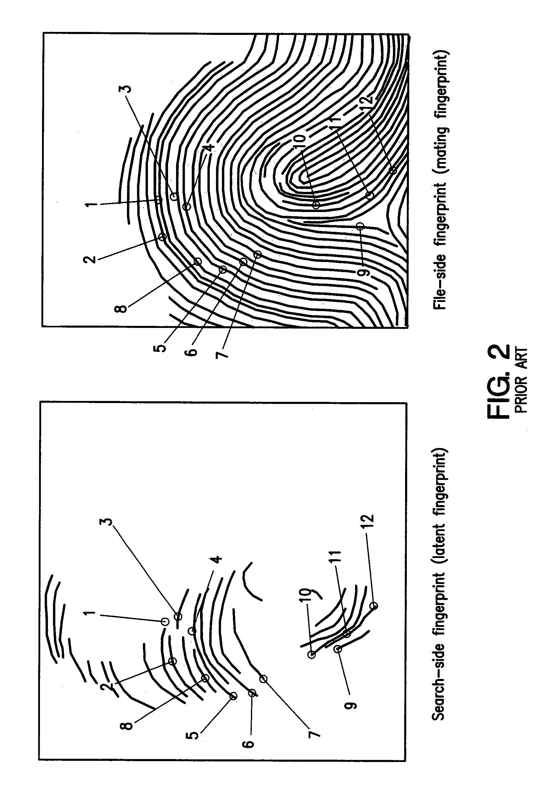 Method and apparatus for analyzing streaked pattern image