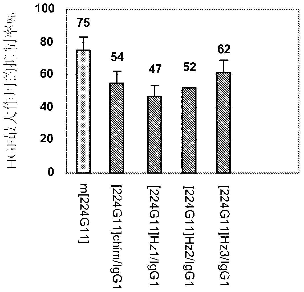 Novel anti-cmet antibody