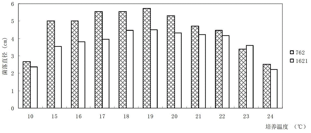 A strain of Cordyceps sinensis with high sporulation