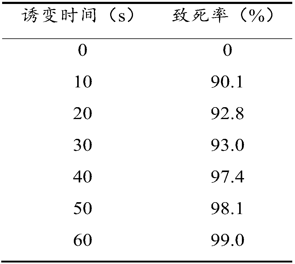 Enramycin high-yield bacterial strain and screening method thereof