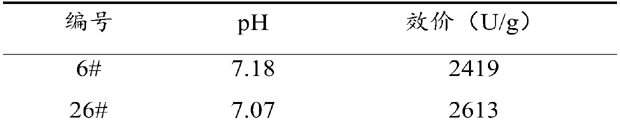 Enramycin high-yield bacterial strain and screening method thereof