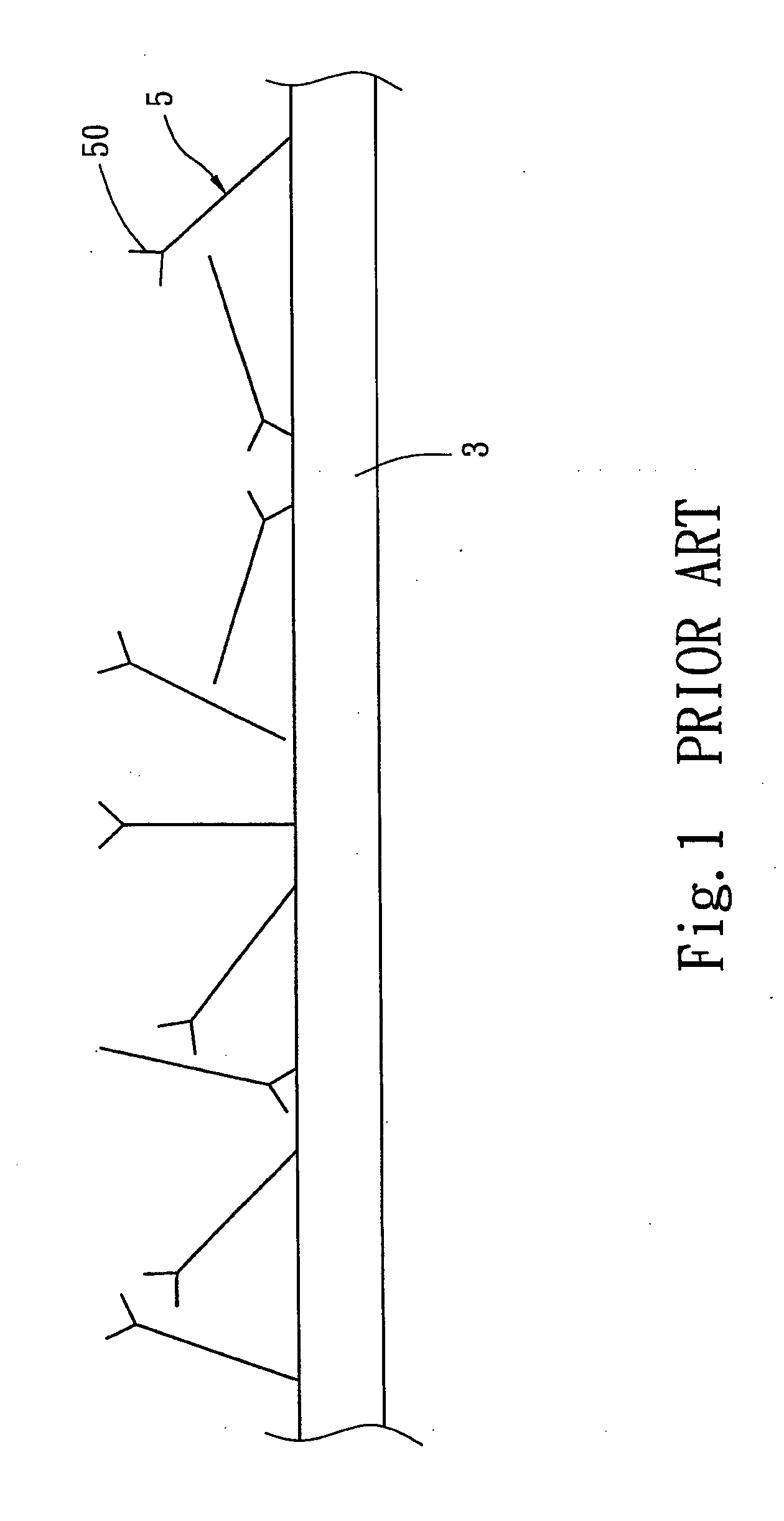 Electric driven protein immobilizing module and method