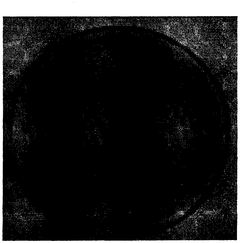 Tambac inducer and preparation method thereof