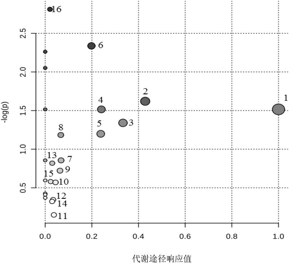 Method for detecting, screening and identifying kidney-yang deficiency metabolism biomarkers