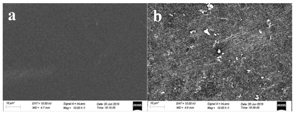 Composite separation membrane and preparation method thereof