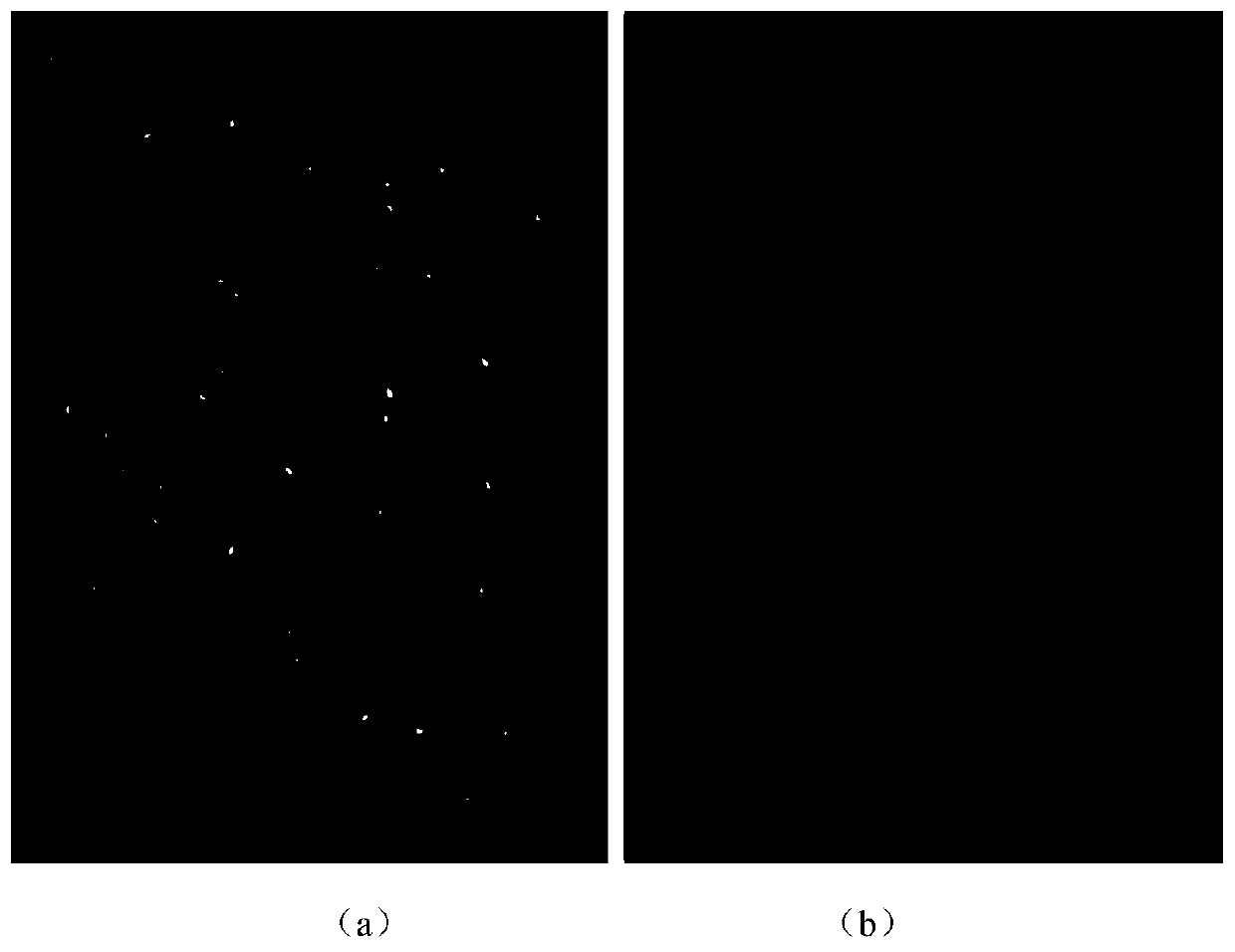 Method for rapidly detecting yellow-colored rice