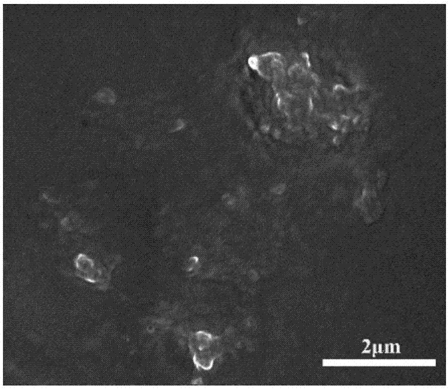 Sodium alginate/dissimilar metal MOFs hollow nanocage hybrid membrane as well as preparation and application