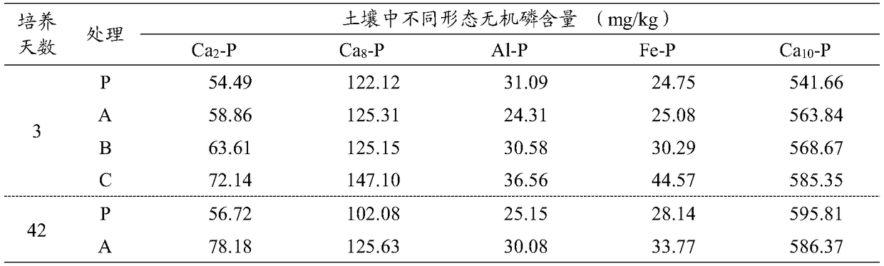 Method for preparing humic acid synergistic carrier for ammonium phosphate suitable for alkaline soil