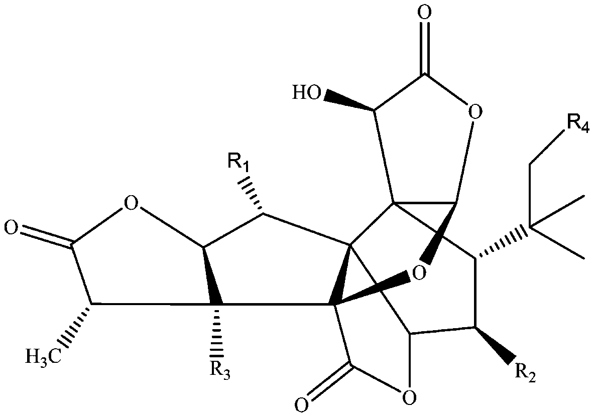 Applications of ginkgo terpene lactone in preparation of drugs and health products for preventing and/or treating vertigo