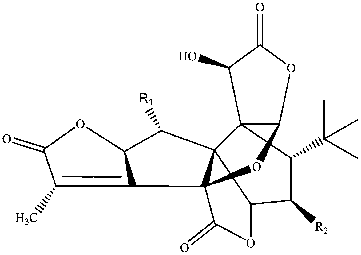 Applications of ginkgo terpene lactone in preparation of drugs and health products for preventing and/or treating vertigo