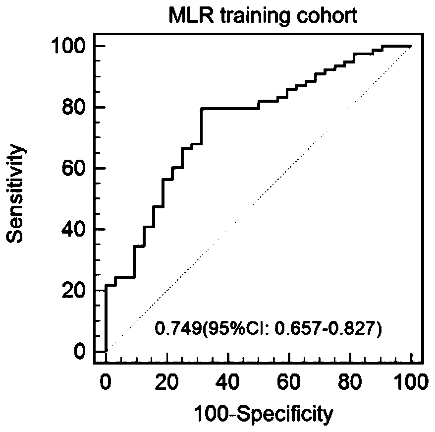 Pancreatic tumor pathology automatic diagnosis system based on deep neural network