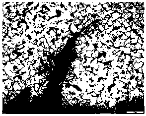 Sulfuric acid dew point corrosion resisting steel capable of avoiding surface cracks and rolling technology of sulfuric acid dew point corrosion resisting steel capable of avoiding surface cracks