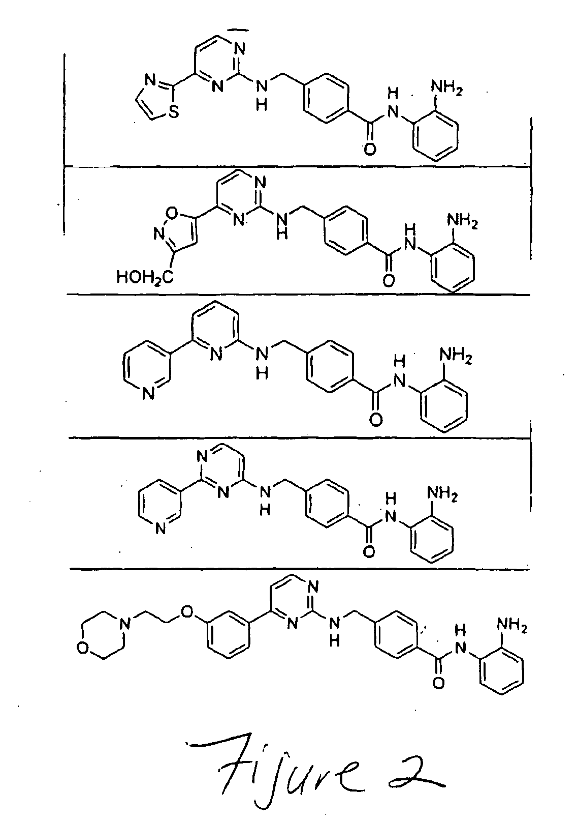 Treatment of Ras-Expressing Tumors