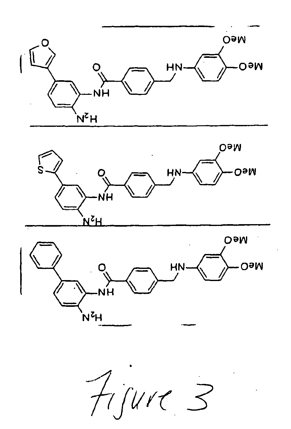 Treatment of Ras-Expressing Tumors