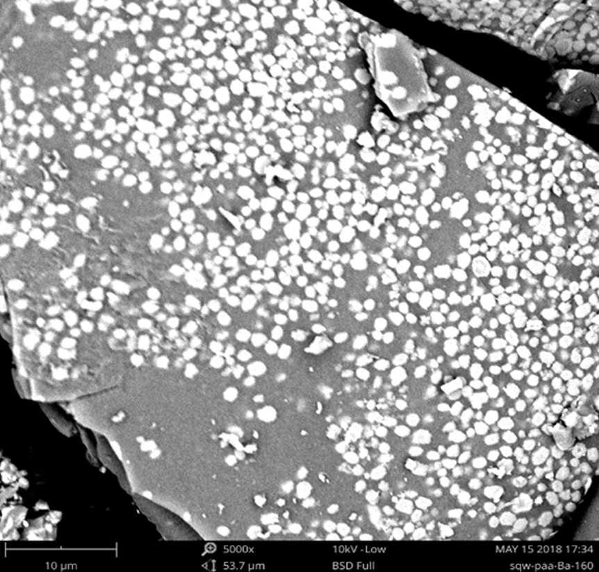 A kind of preparation method of mulberry-shaped barium polyacrylate powder doped with europium