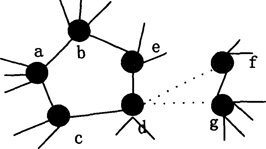 Topological project based on mobile agency in large scale network