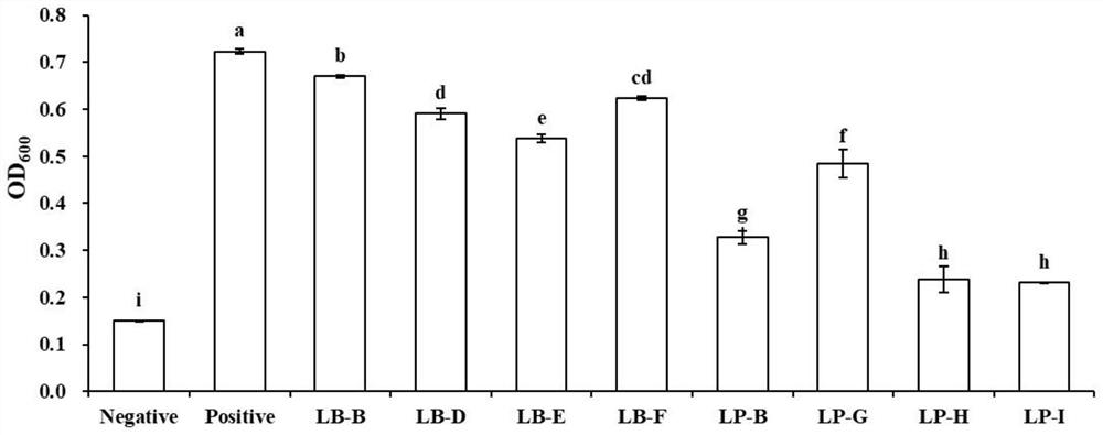 Probiotic active compound polysaccharide as well as preparation method and application thereof