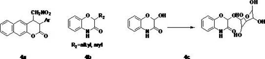 Tetrahydropyrrolooxazinone and piperidino-oxazinone compounds and preparation method thereof