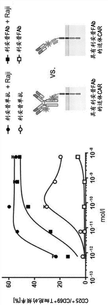 A combination of compositions for elimination and enhanced engraftment of hematopoietic stem cells in the bone marrow of a subject