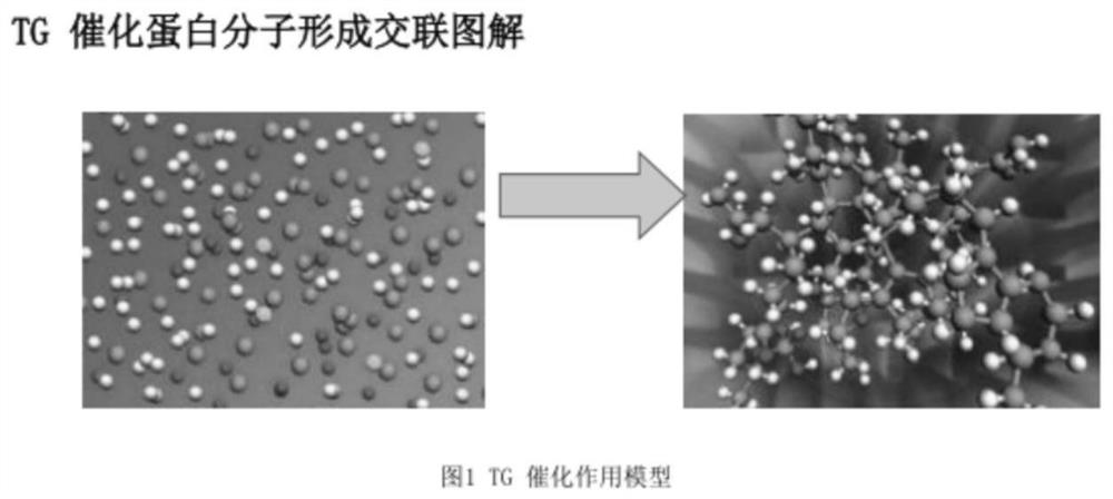 High-fiber dried egg and preparation method thereof