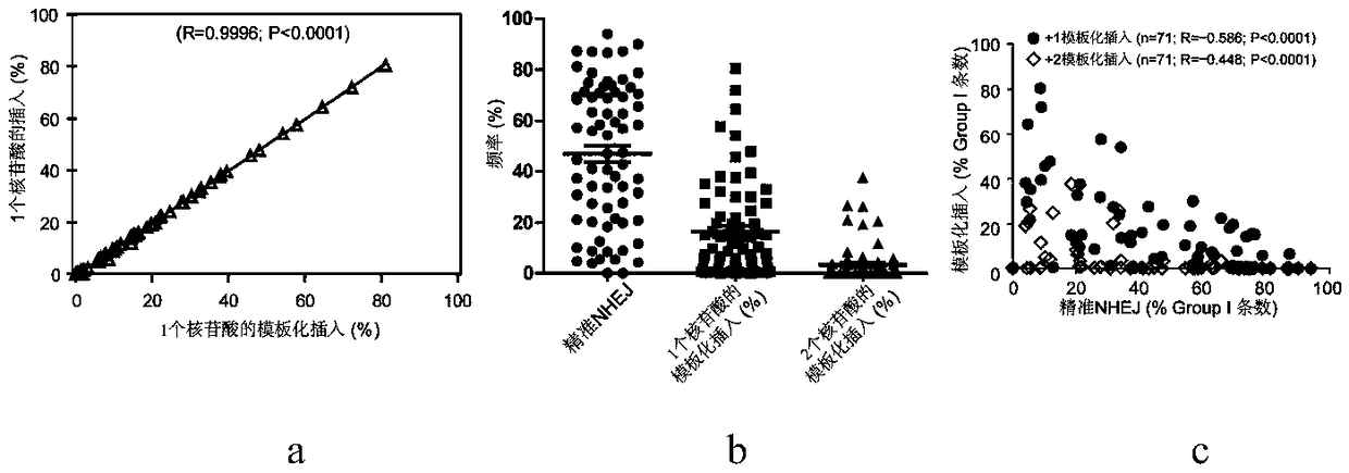 Paired sgRNA for gene editing and application thereof