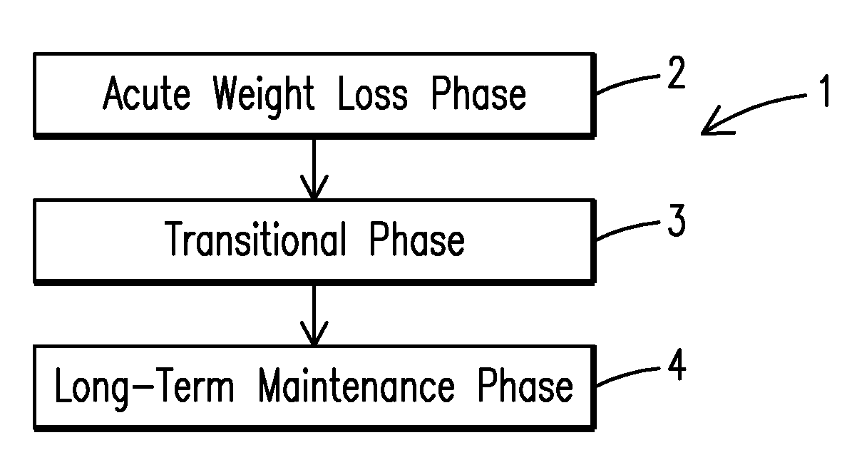 Weight reduction program and method