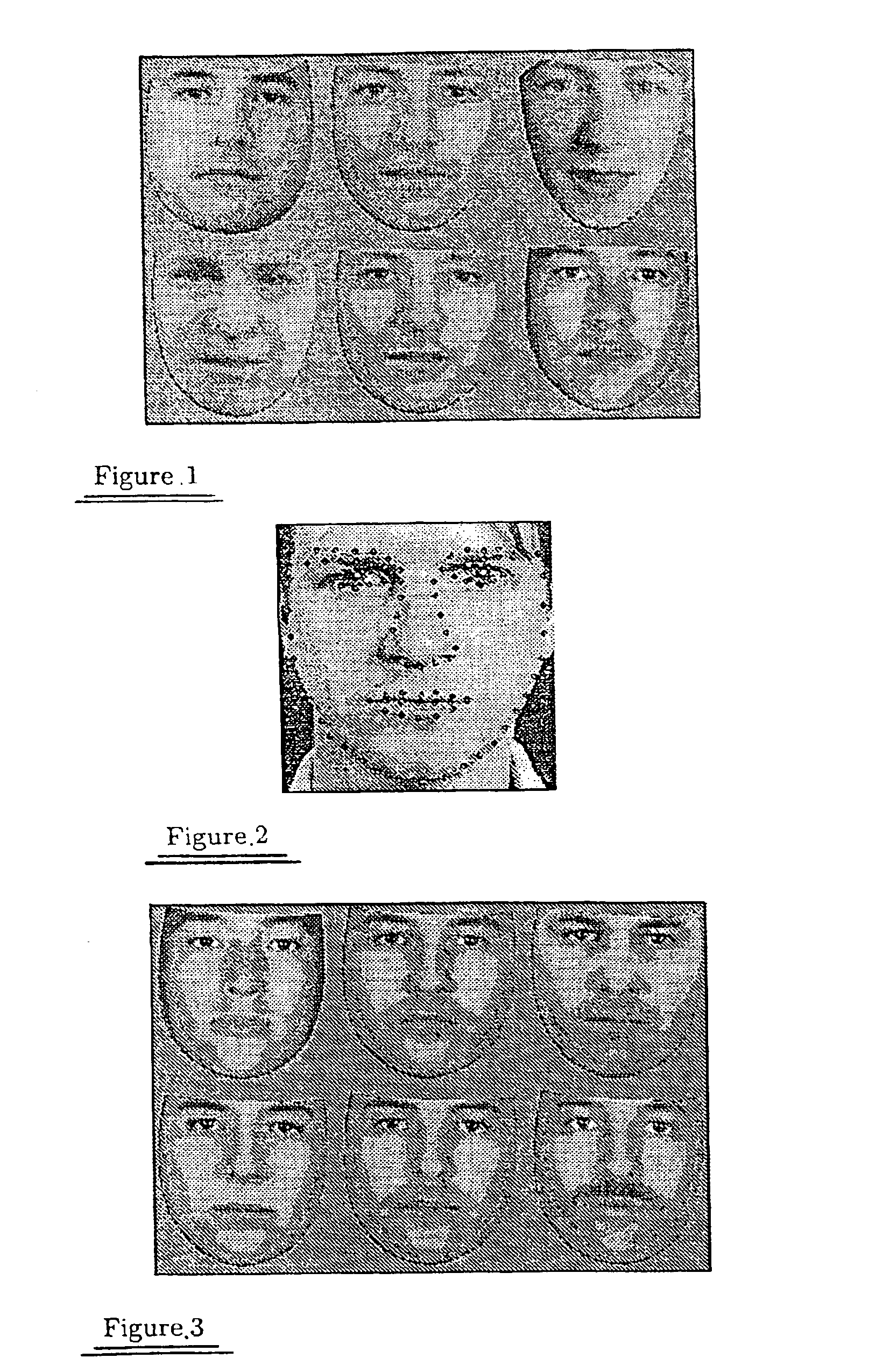 Face sub-space determination