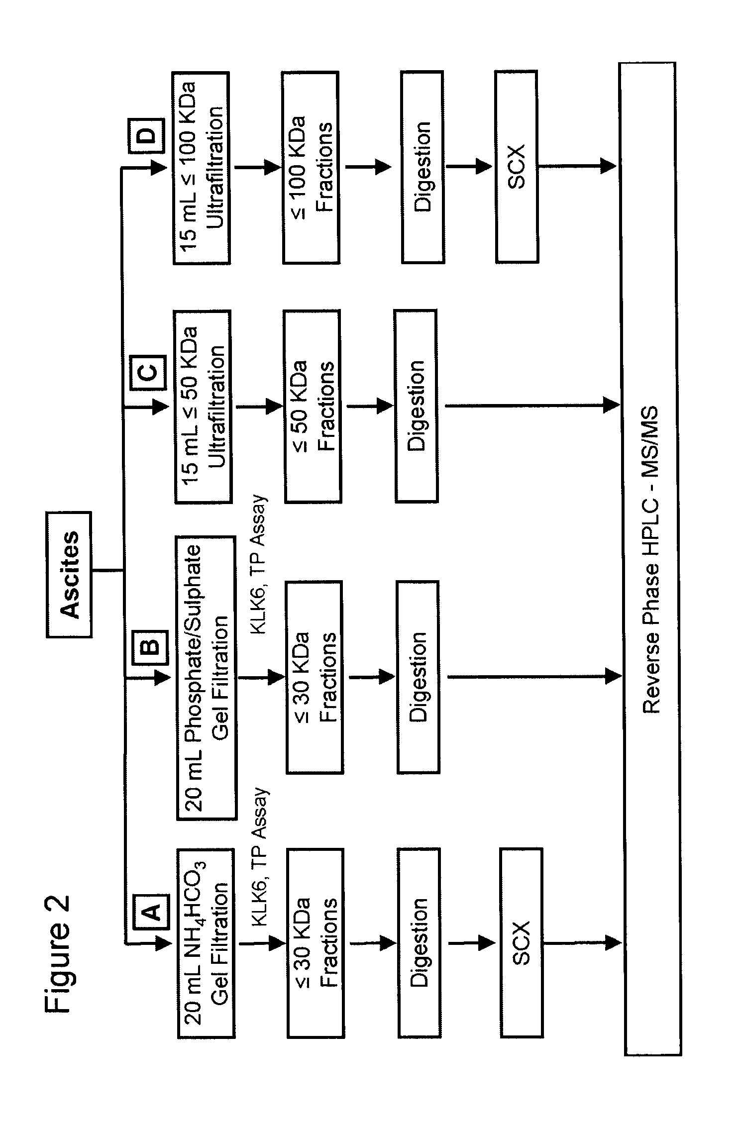 Methods and compositions for the detection of ovarian cancer