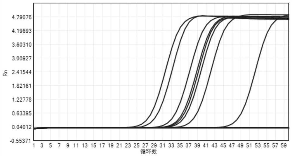 Specific selective amplification and multiplex PCR method and application