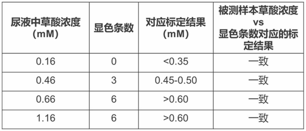 Strip color developing type test strip for detecting oxalic acid in urine as well as preparation method, use method and application of strip color developing type test strip