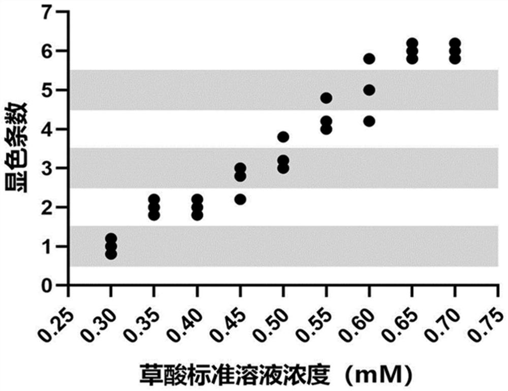 Strip color developing type test strip for detecting oxalic acid in urine as well as preparation method, use method and application of strip color developing type test strip