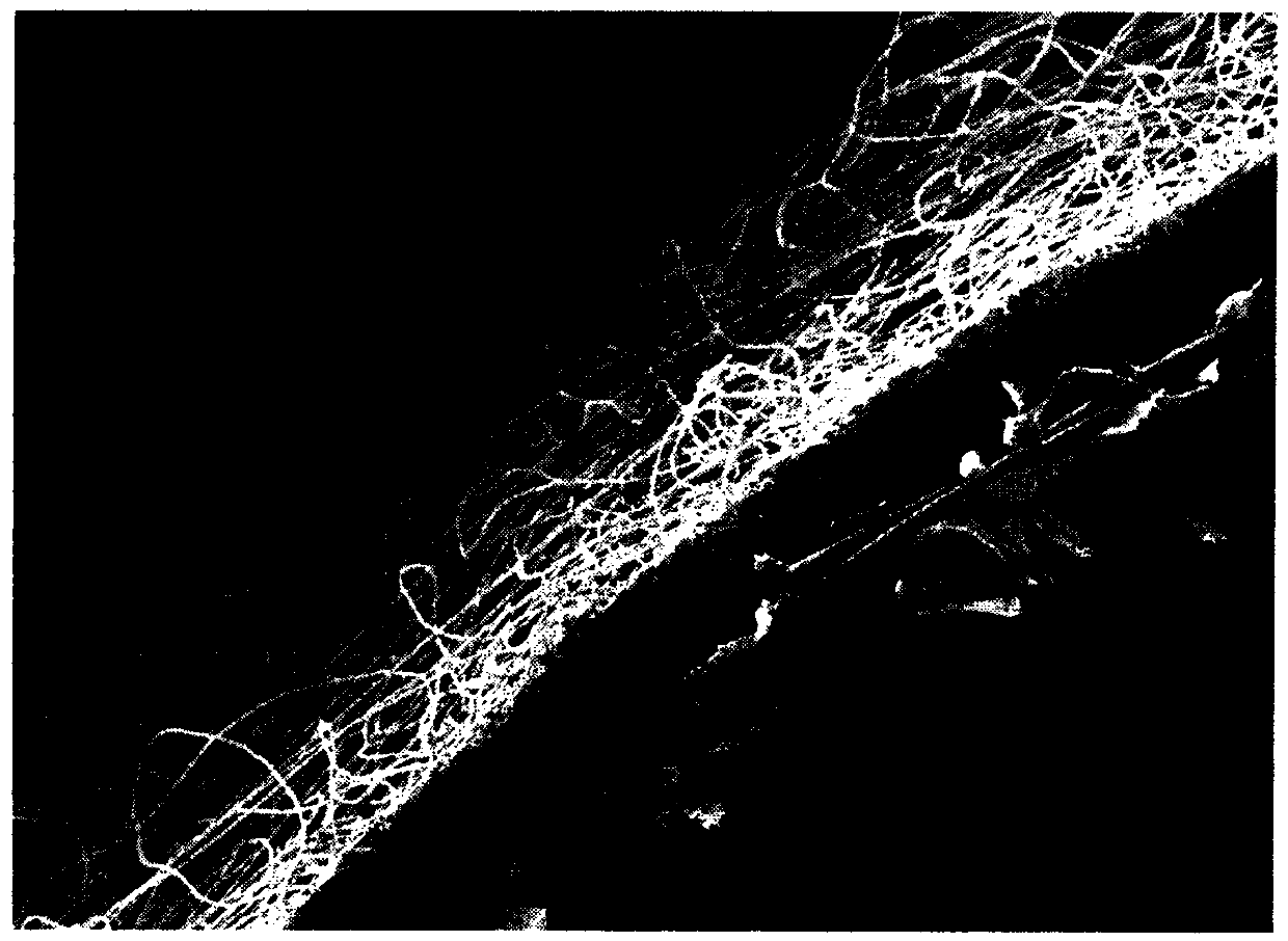 A kind of microfiber/nanofiber composite filter material and preparation method thereof