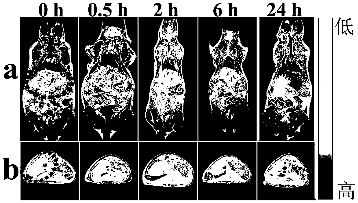 A kind of inorganic-inorganic nano-hybrid material with double mesoporous core-shell structure and its preparation method and application