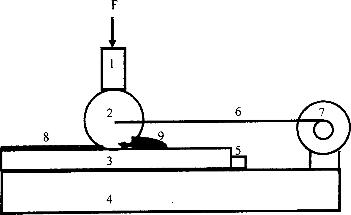 Lyotropic liquid crystal polarizing film and preparation method thereof