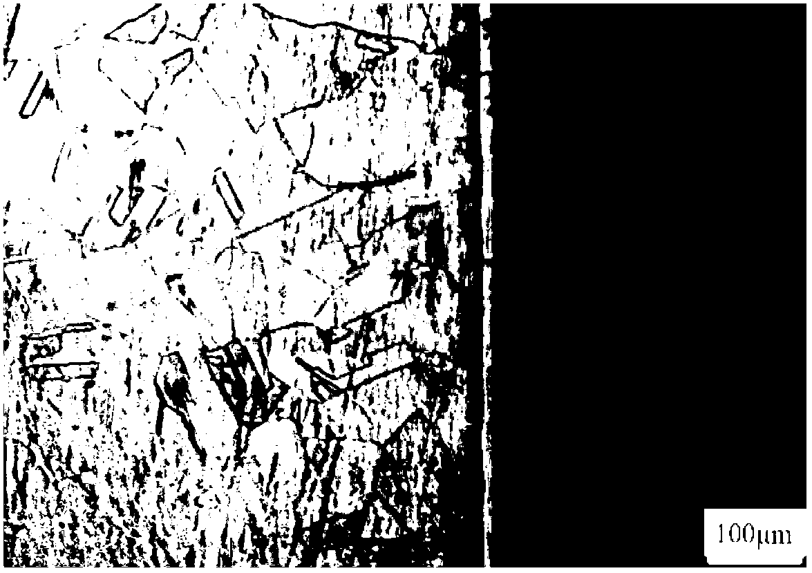 Austenitic stainless steel ion nitriding permeation catalyzing process