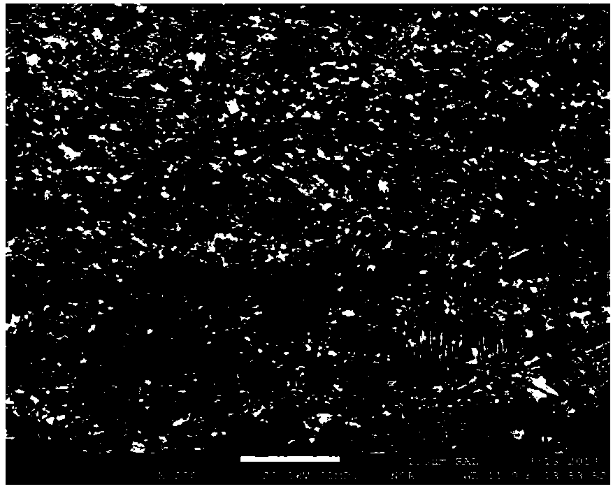 Method for sheathing and rolling as-cast TiAl alloy platebased on composite structural design