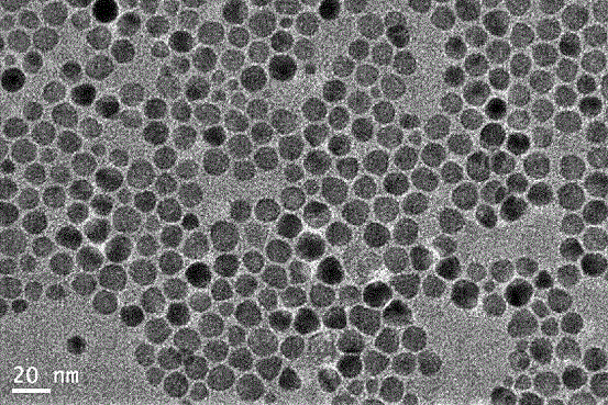 Copper zinc tin sulfur quantum dots and preparation method thereof