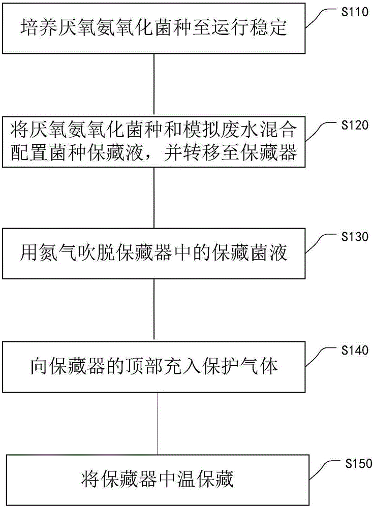 Preservation method of anaerobic ammonium oxidation strain