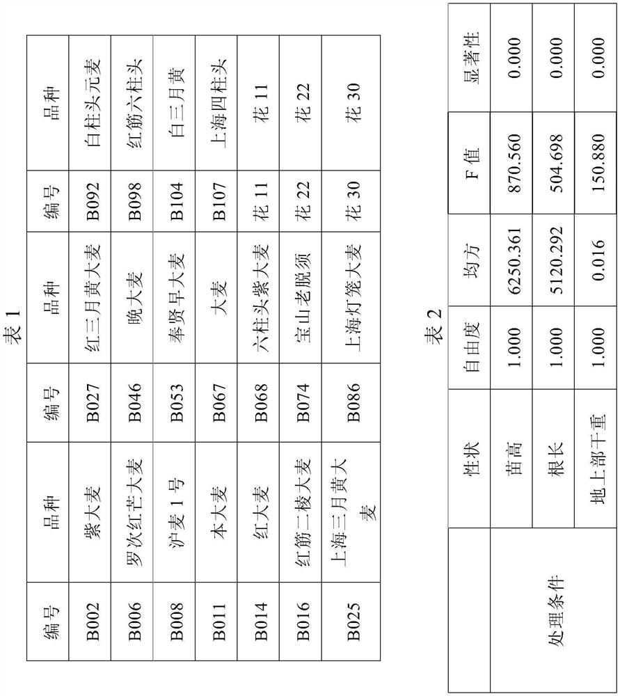 Efficient nitrogen barley screening method based on chlorate sensitivity