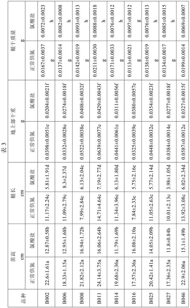 Efficient nitrogen barley screening method based on chlorate sensitivity