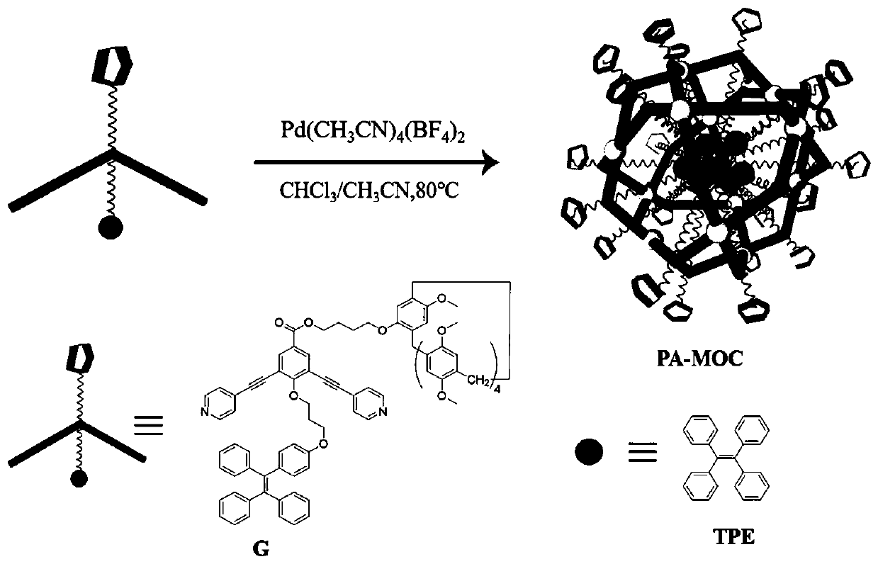 Bifunctional pillararene derivative ligand, metal organic cage and preparation method