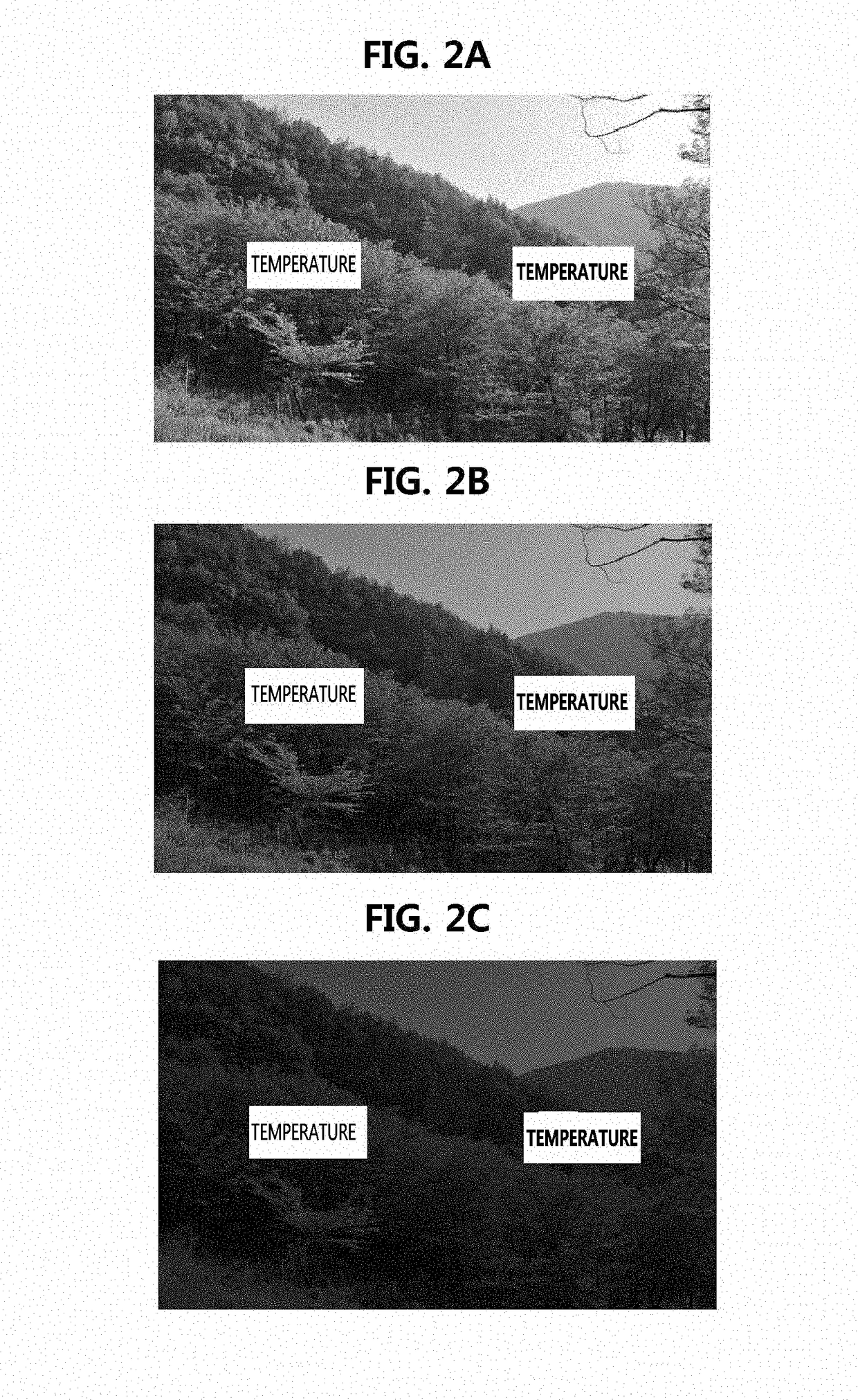 Information image display apparatus and method