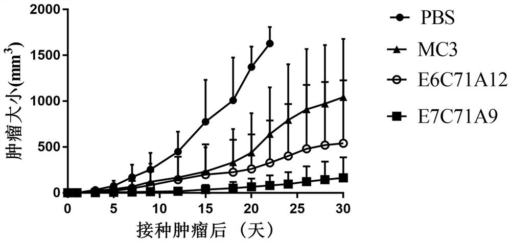 Amino lipid as well as preparation method and application thereof