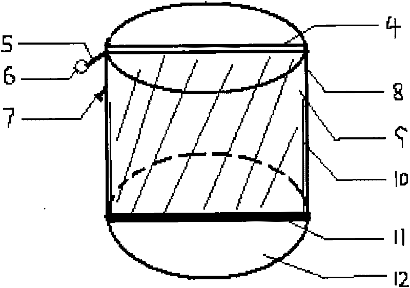 Direct contact type cell co-culture device